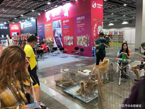 2022大灣區(qū)寵物用品博覽會暨采購交易會 共筑寵物經(jīng)濟(jì)新生態(tài)