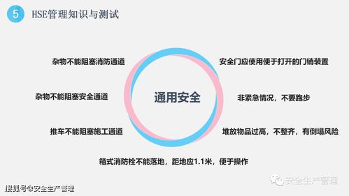 責(zé)任夯實(shí)生命防線 HSE管理人員責(zé)任意識(shí)深度培訓(xùn)（45頁精華版）